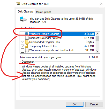 Disk Cleanup Tool Windows 10 selection screen. This image shows that each selectable option has a description of what will be deleted.